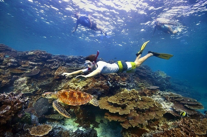 Trải nghiệm lặn ngắm biển