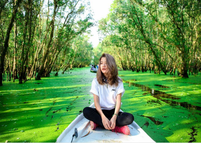 Rừng Tràm Trà Sư