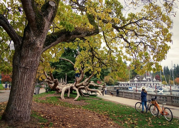 Công viên thành phố rộng 500 hecta – Stanley Park