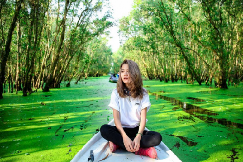 rừng tràm trà sư