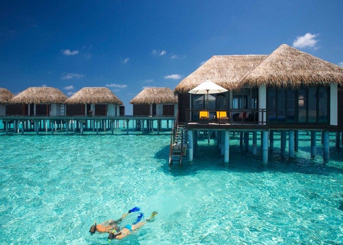 Trải nghiệm bơi lội ở Maldives