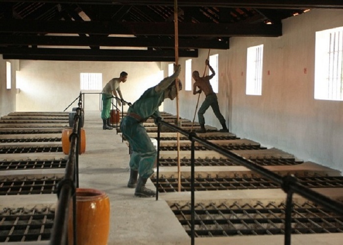 Chuồng cọp kiểu Pháp chuong-cop-con-dao