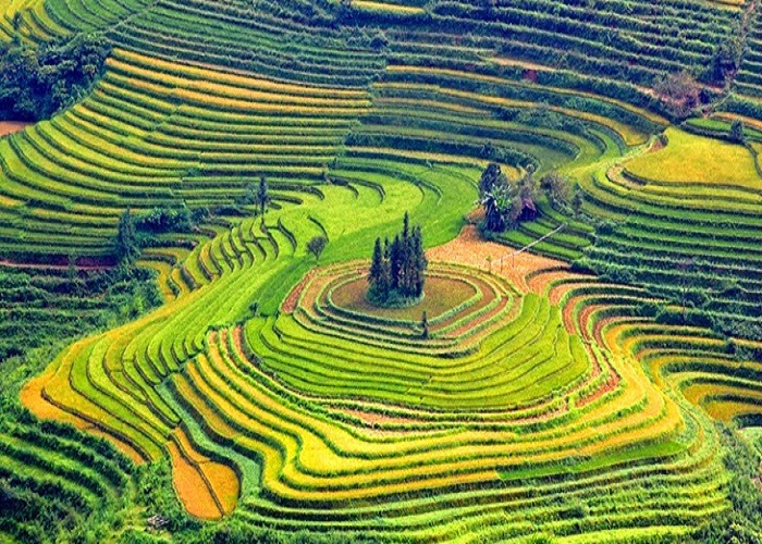 Khách trải nghiệm