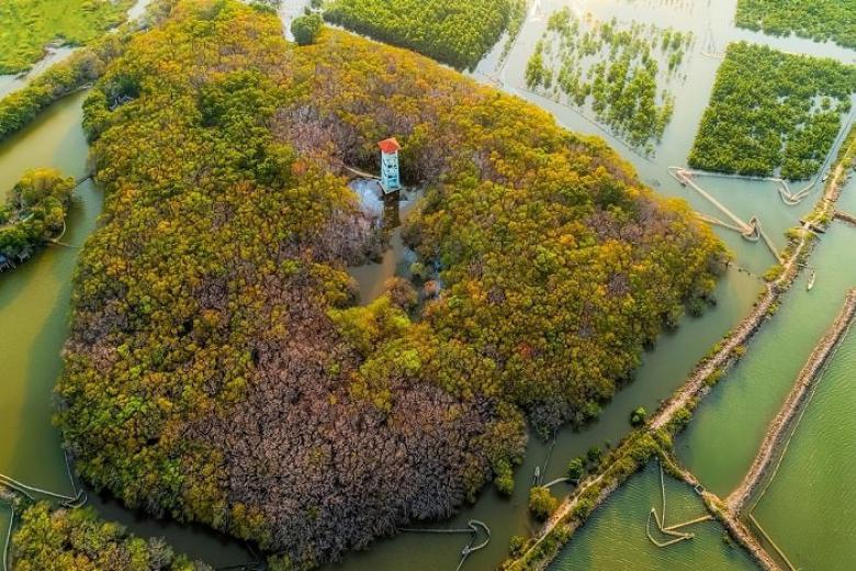 Rừng Rú Chá trên cao nhìn xuống