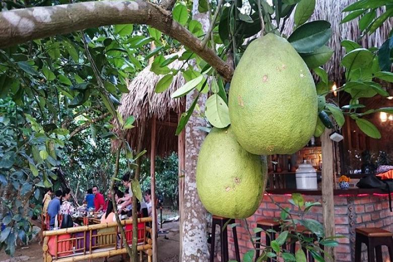 Tham quan làng Thủy Biều