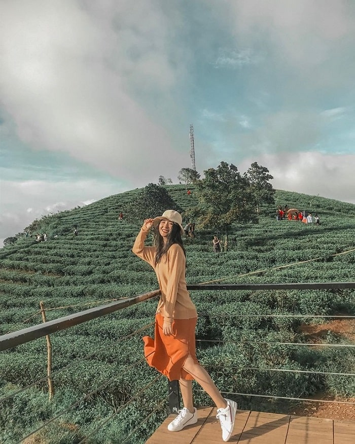 Tour Đà Lạt 3N2Đ từ Đà Nẵng tham quan đồi chè Cầu Đất