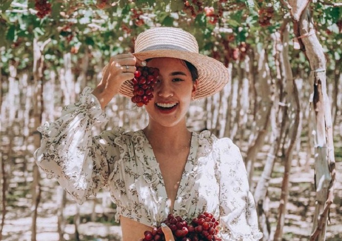 vuon-nho-ninh-thuan-1