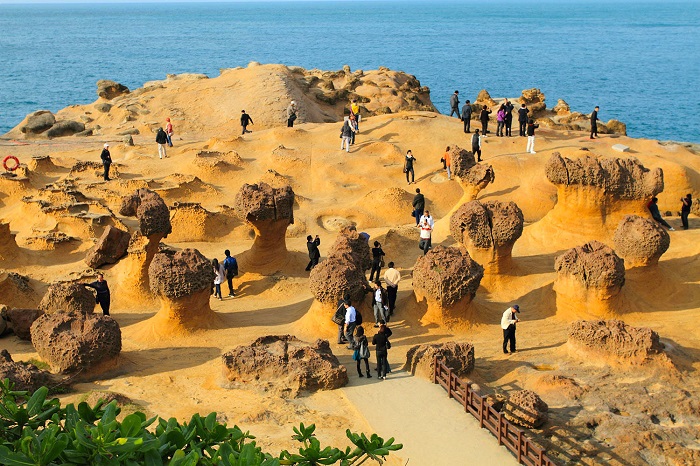 Công viên Dã Liễu