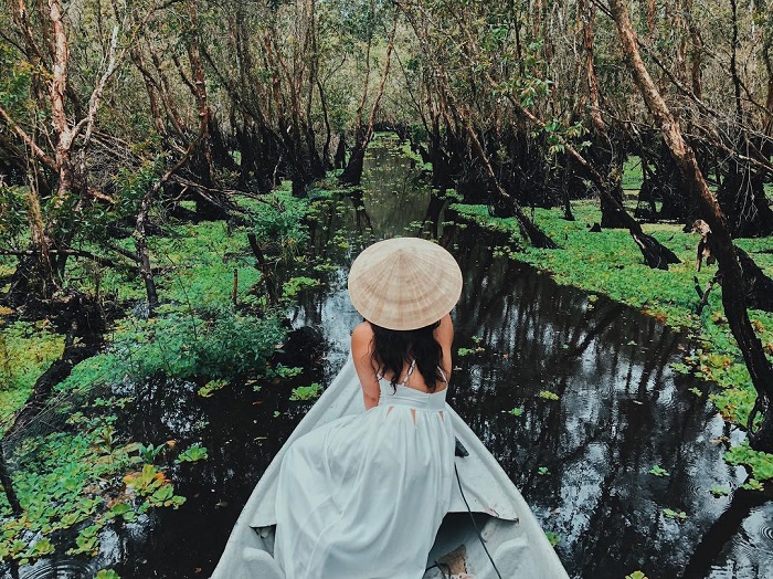 Rừng Tràm Trà Sư