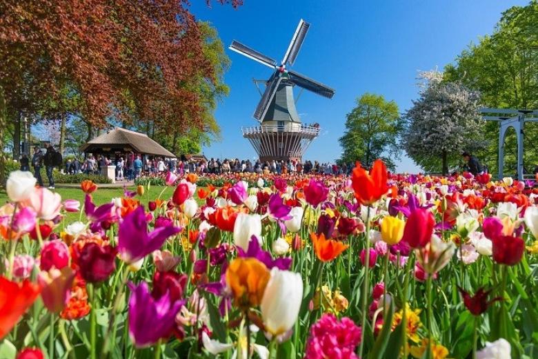 Keukenhof