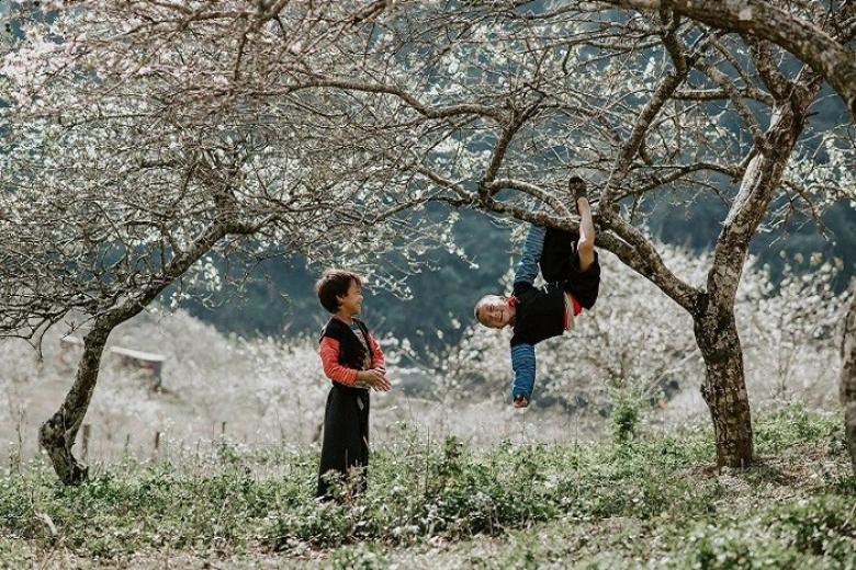 Thung lũng mận Nà Ka