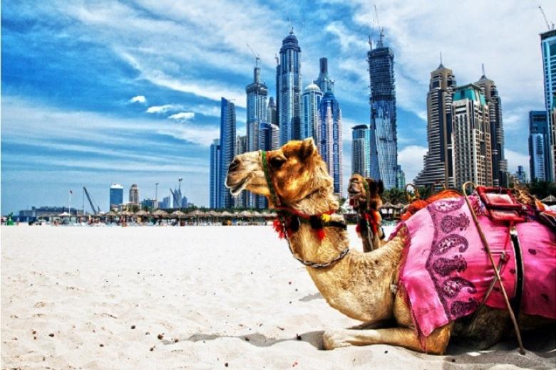 Sa mạc Dubai