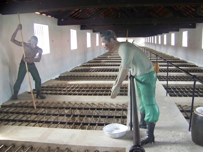 Xảo thuật thị giác giấu kín Chuồng Cọp Pháp trong 30 năm