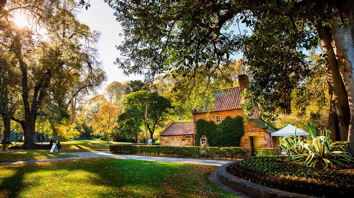 Vẻ trong xanh của vườn Fitzroy