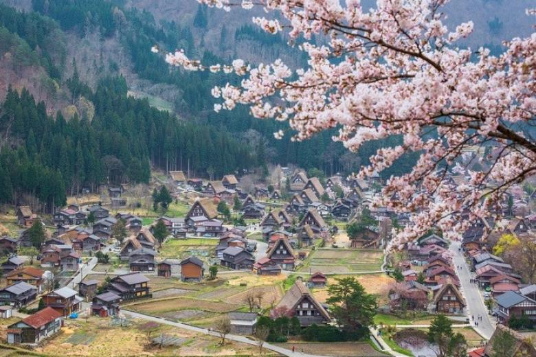 Làng cổ Shirakawago