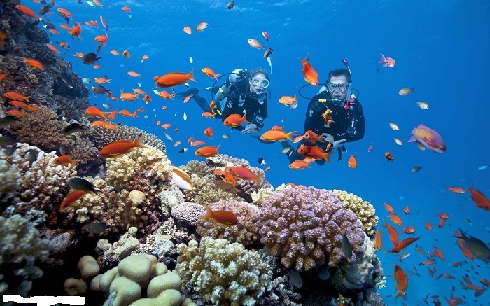 Lặn biển ở Nha Trang