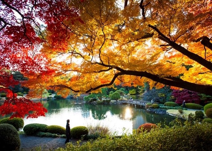 công viên Shinjuku