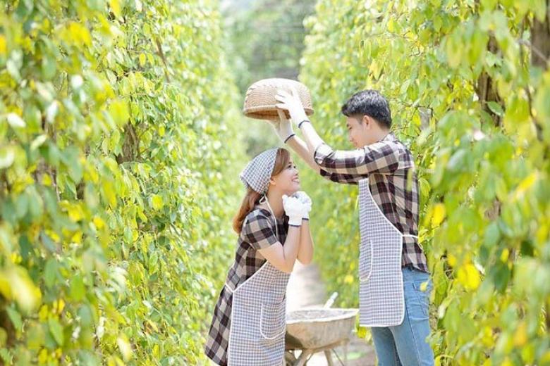 Vườn tiêu Phú Quốc