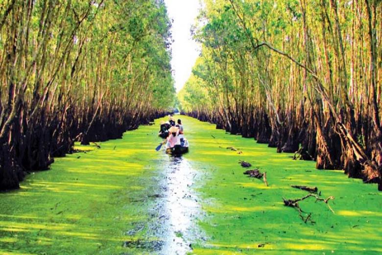 rừng tràm trà sư