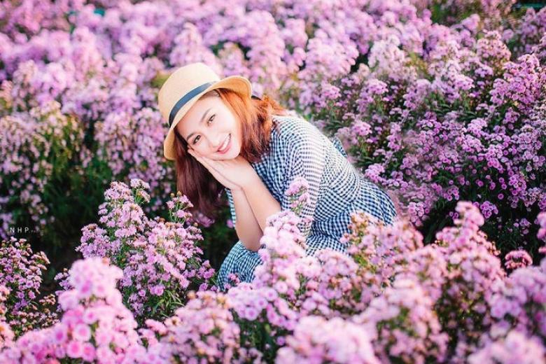 vườn hoa thạch thảo vũng tàu