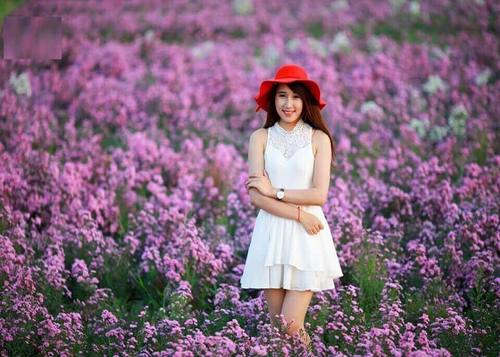 Vườn hoa Thạch Thảo Vũng Tàu