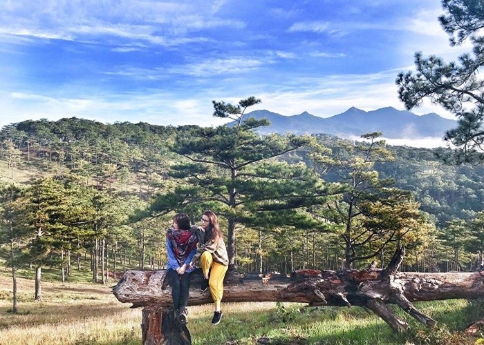 Thung lũng vàng Đà Lạt du_lich_da_lat_sai_gon_da_lat_kombi_land_4_ngay_1