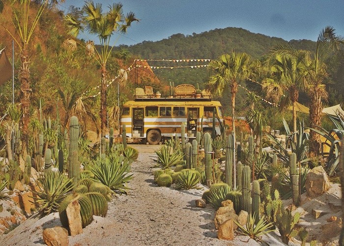 Kombi Land được mệnh danh là “Vương quốc xương rồng giữa lòng Đà Lạt” du_lich_da_lat_sai_gon_da_lat_kombi_land_4_ngay_5