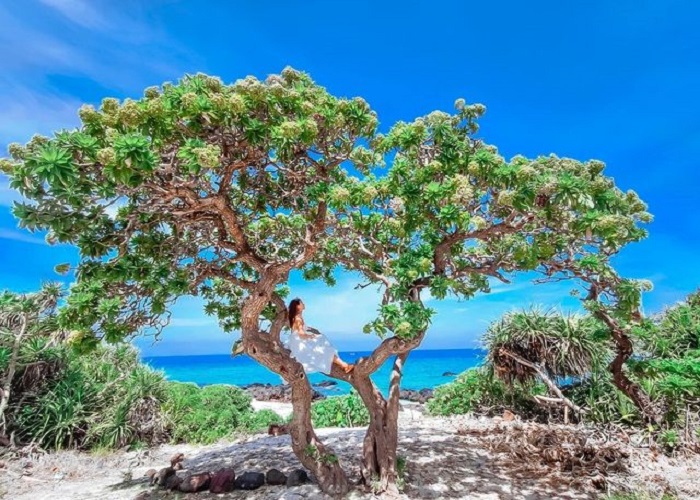 Sống ảo ở đảo Bé Lý Sơn