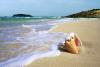 Tour Miền Nam 4N3Đ: Từ Hà Nội - Sài Gòn - Phan Thiết - Đảo Phú Quý, Bay VN + Ô tô - KS tiêu chuẩn