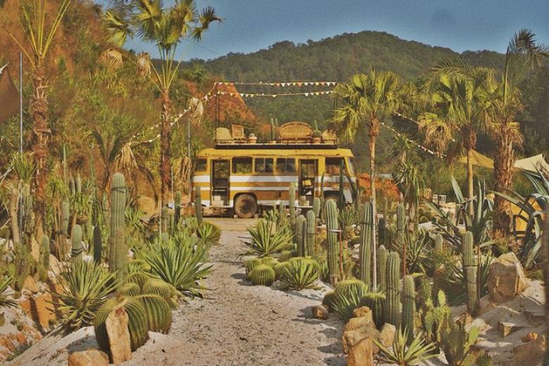Kombi Land: “Vương quốc xương rồng giữa lòng Đà Lạt”