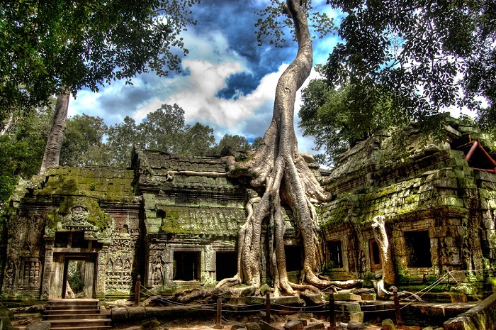 Sự độc lạ ở Prasat Ta Prohm (Đền Ta Prohm) 