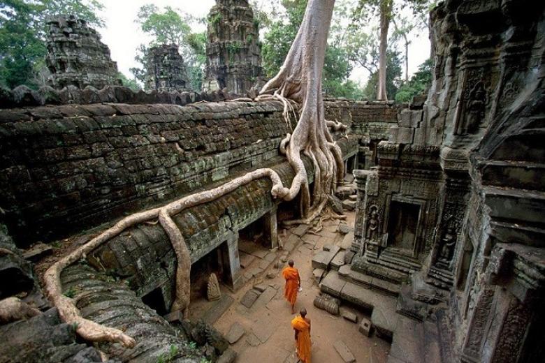 Prasat Ta Prohm (Đền Ta Prohm)