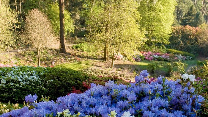 Công viên Dangdenong