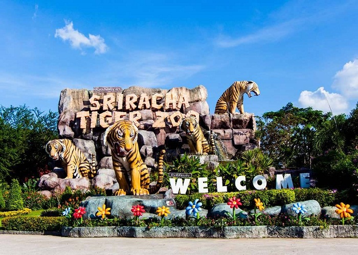 Tiger Zoo Pattaya