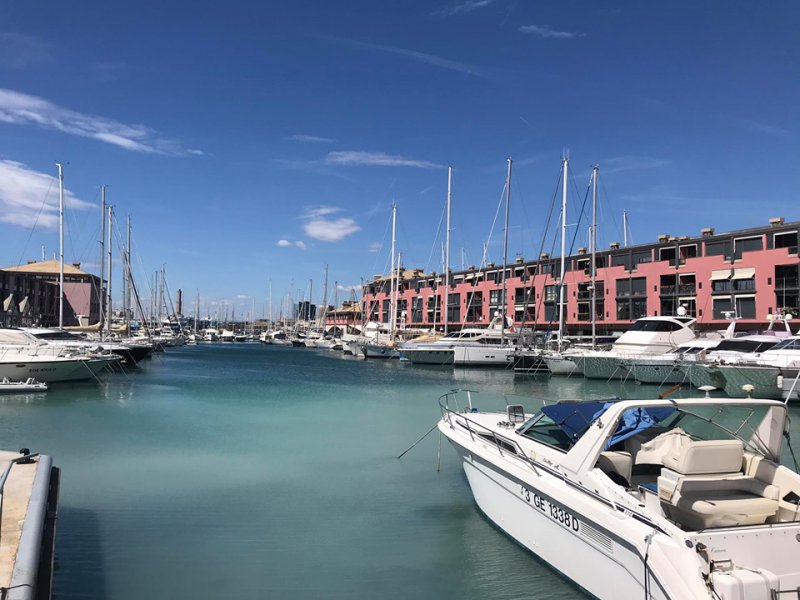 tp_cYng_Genova