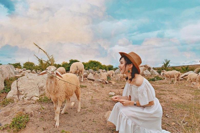 Đồng cừu An Hoà