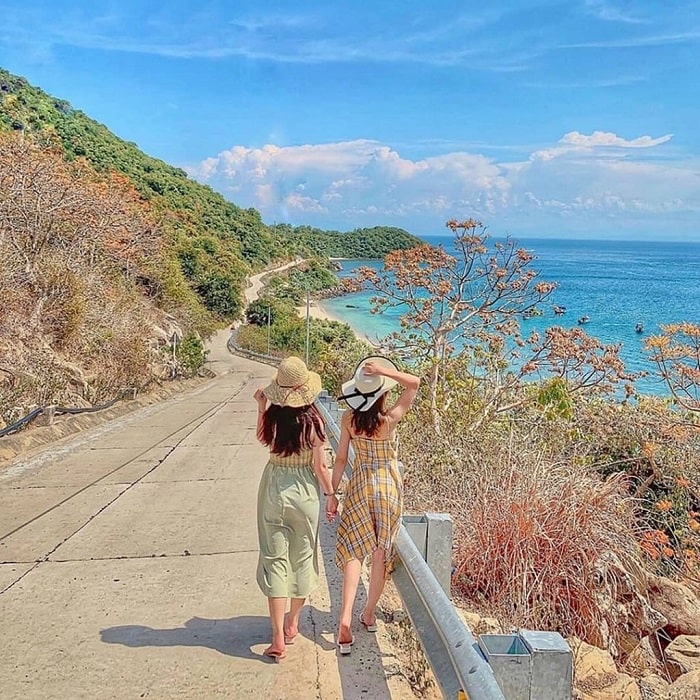 Đến Cù Lao Chàm sống ảo và chiêm ngưỡng hoa ngô đồng