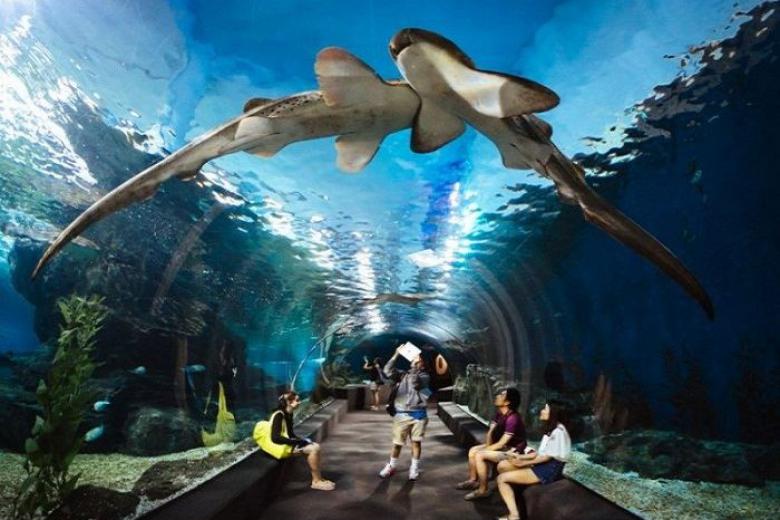 Vinpearl Land Nha Trang