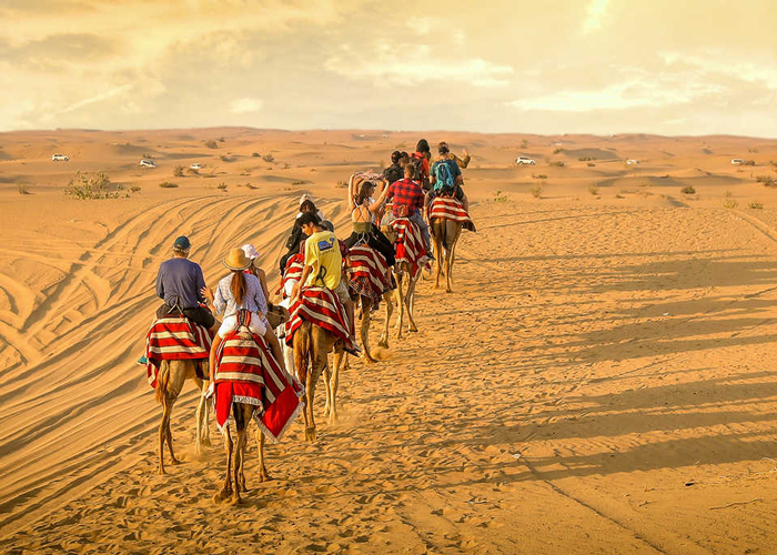 Trải nghiệm cưỡi lạc đà Dubai