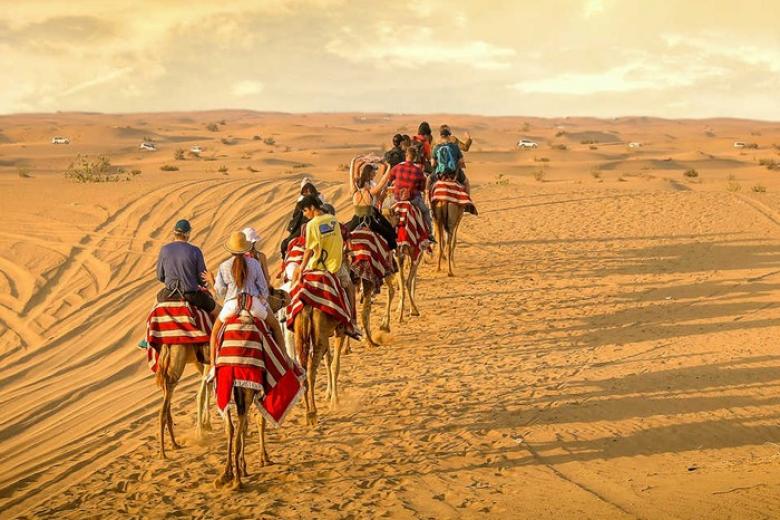 Cưỡi lạc đà Dubai