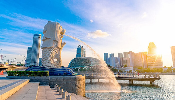 Công viên sư tử biển