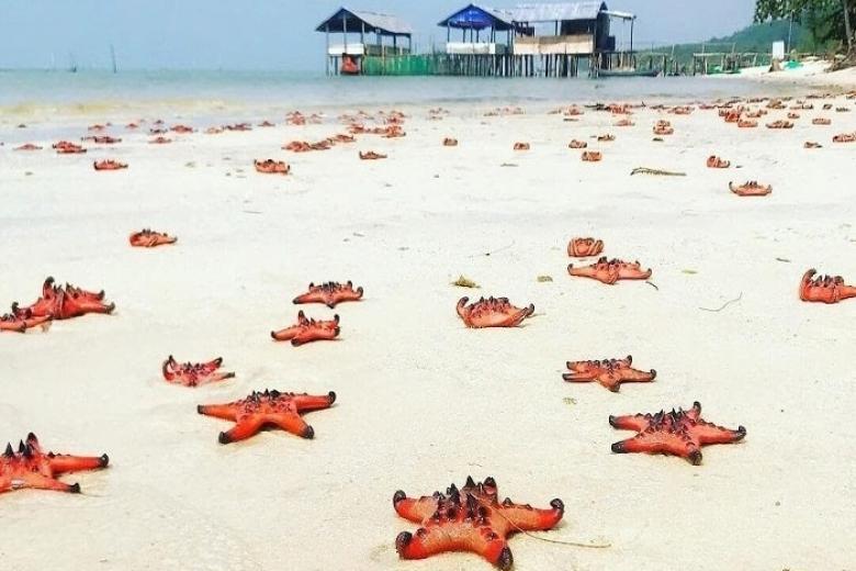 Bãi Sao Phú Quốc