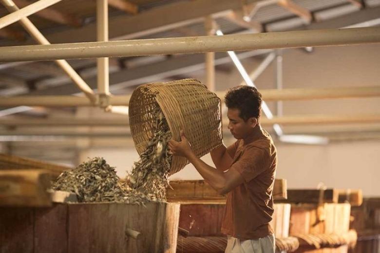 Nhà thùng nước mắm Phú Quốc