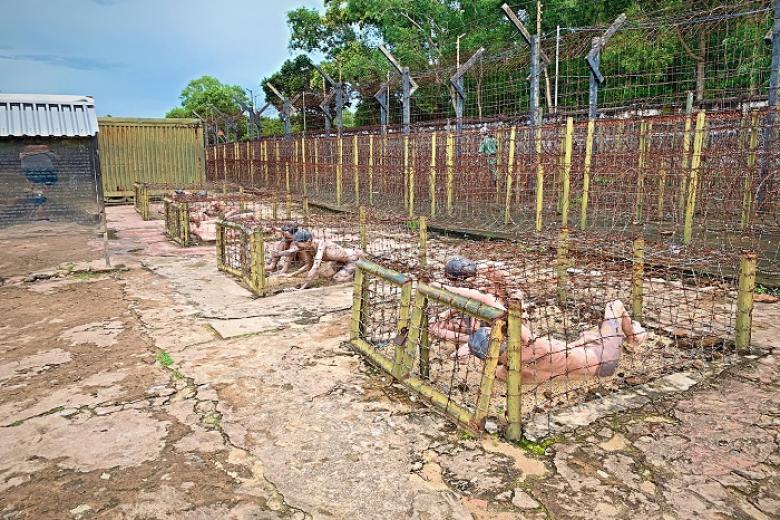 Nhà tù Phú Quốc