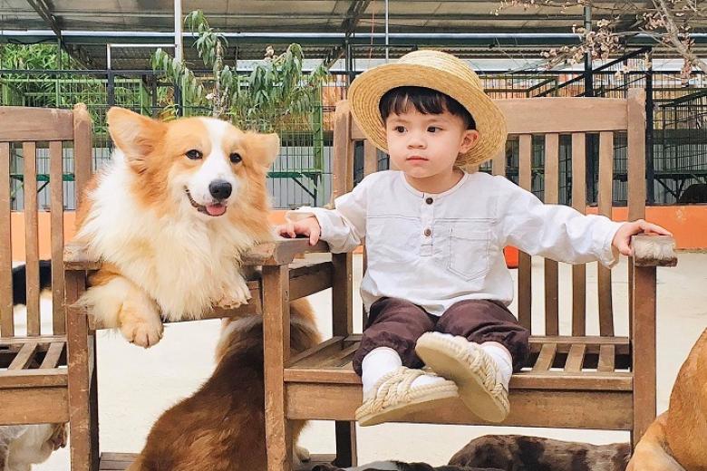 Nông Trại Puppy Farm