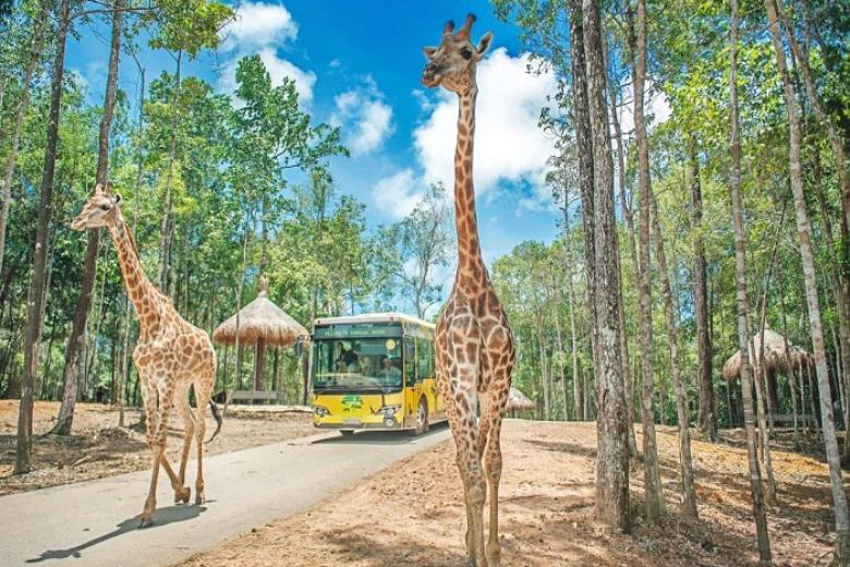 Vườn Thú Mở - Vinpearl Safari