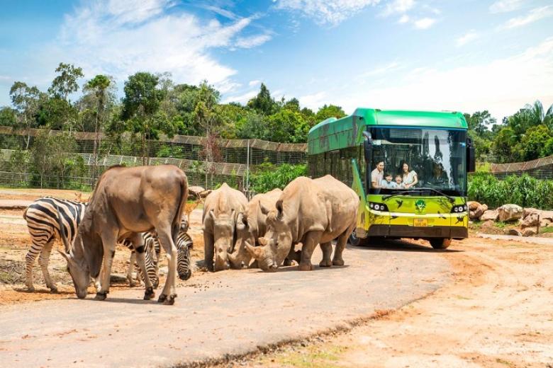 Vườn Thú Mở - Vinpearl Safari