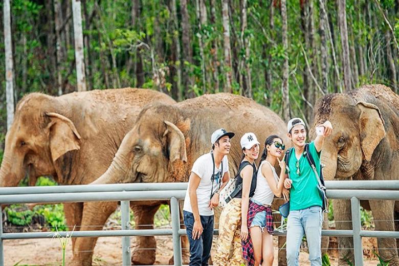 Vườn Thú Mở - Vinpearl Safari