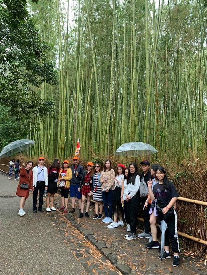 Đoàn khách thăm quan Rừng tre Sagano