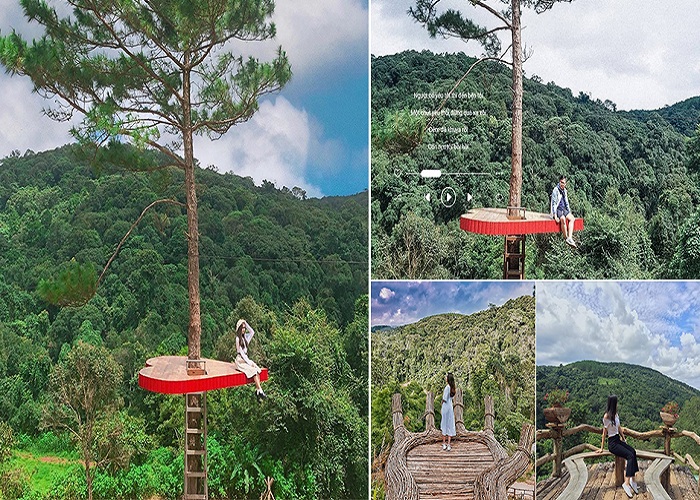 Hoa sơn điền trang